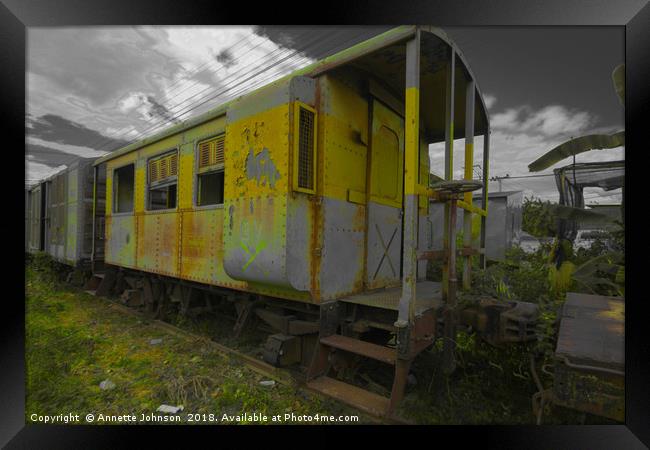 Abandoned Trains #1 Framed Print by Annette Johnson