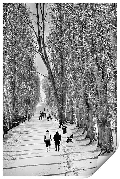 Walking the Lurgan park avenue Print by David McFarland