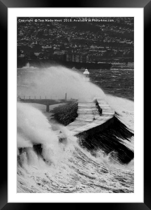 Waves crashing over Brixham Breakwater Framed Mounted Print by Tom Wade-West