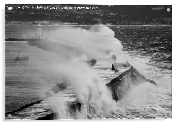 Waves crashing over Brixham Breakwater Acrylic by Tom Wade-West