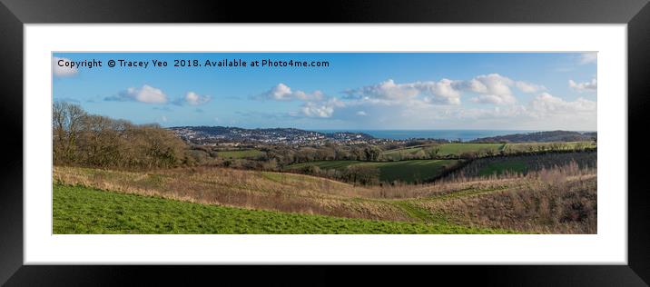 Torquay Panorama. Framed Mounted Print by Tracey Yeo