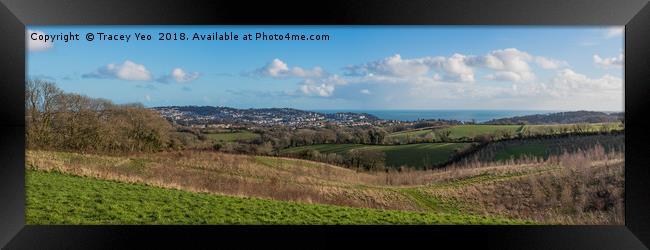 Torquay Panorama. Framed Print by Tracey Yeo