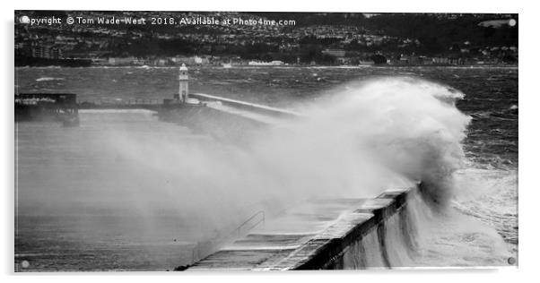 Waves crashing over Brixham Breakwater Acrylic by Tom Wade-West