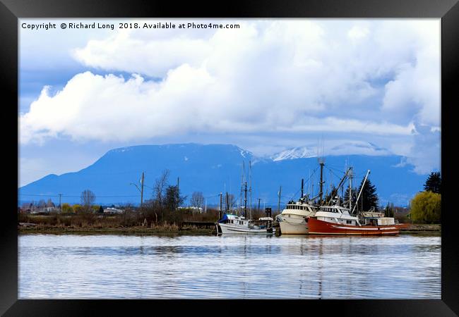 Fishing boats moored on the Fraser River BC Canada Framed Print by Richard Long