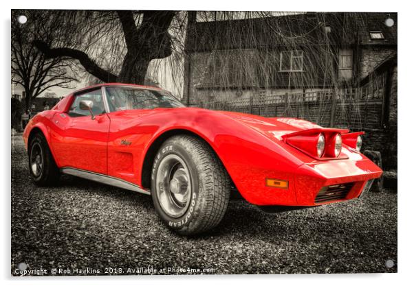Little Red Stingray Acrylic by Rob Hawkins