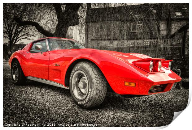 Little Red Stingray Print by Rob Hawkins