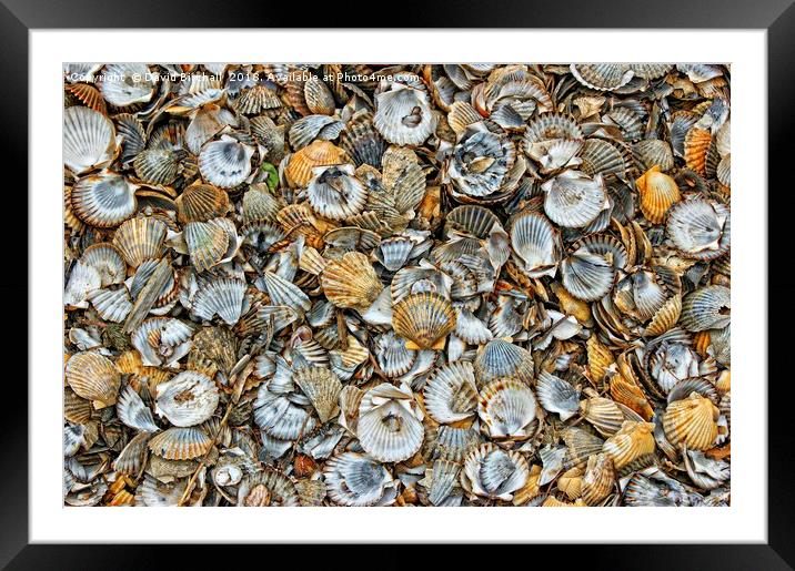 Cockleshell Abstract Framed Mounted Print by David Birchall