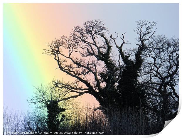 At the bottom of the rainbow Print by Elizabeth Chisholm