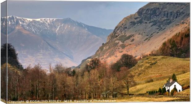 "Evening sunshine on Blencathra" Canvas Print by ROS RIDLEY