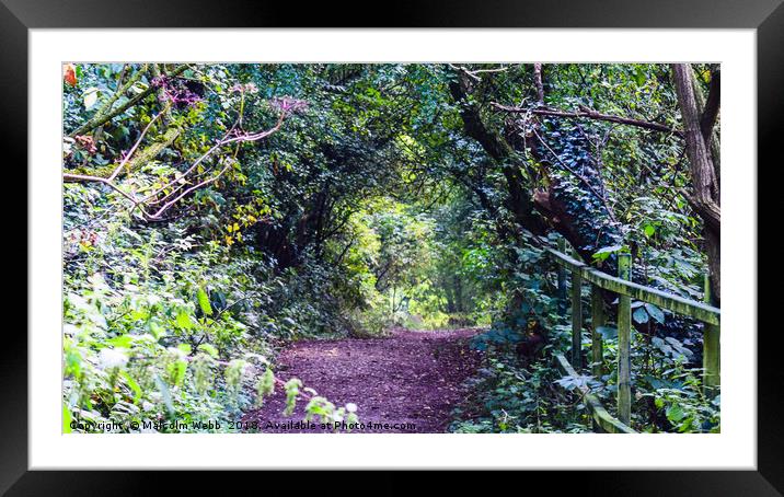 Little Country Bridlepath Framed Mounted Print by Lensational Photography