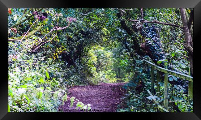 Little Country Bridlepath Framed Print by Lensational Photography