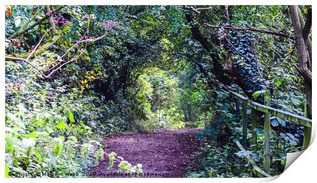 Little Country Bridlepath Print by Lensational Photography