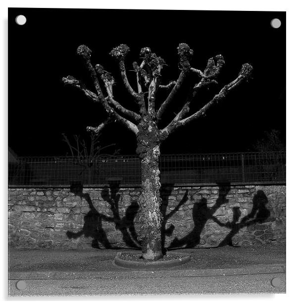 TREE Acrylic by Jean-François Dupuis