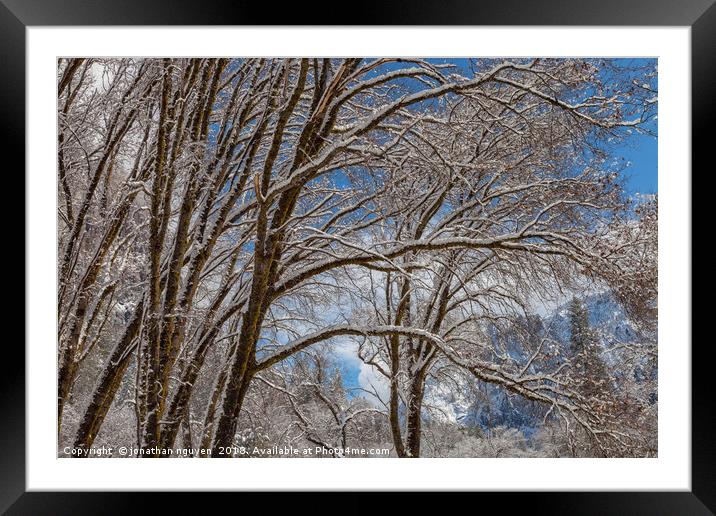 The Winter Canvas Framed Mounted Print by jonathan nguyen