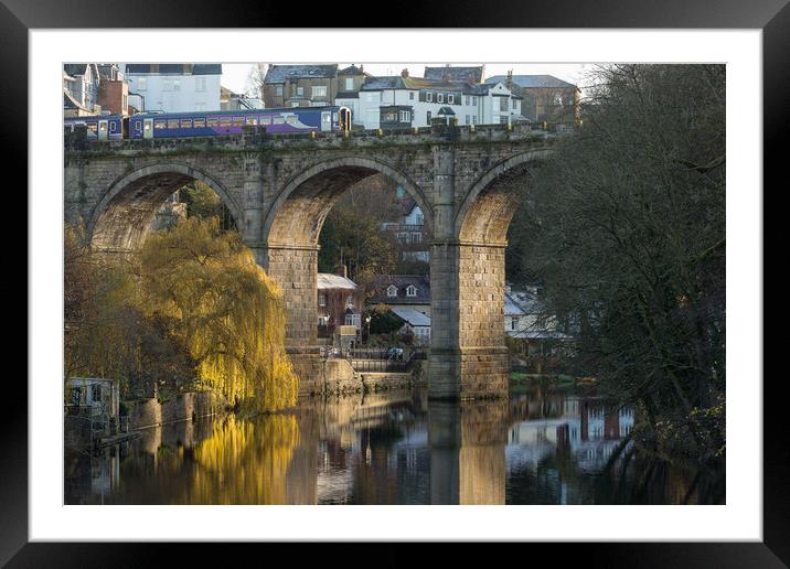 Knaresborough Viaduct  Framed Mounted Print by mike morley