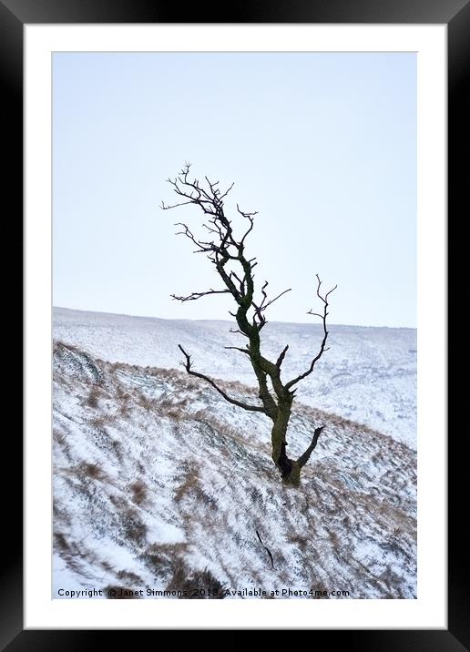 Solo Tree Winter Colour Framed Mounted Print by Janet Simmons