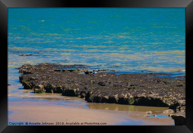 Seaside #5 Framed Print by Annette Johnson