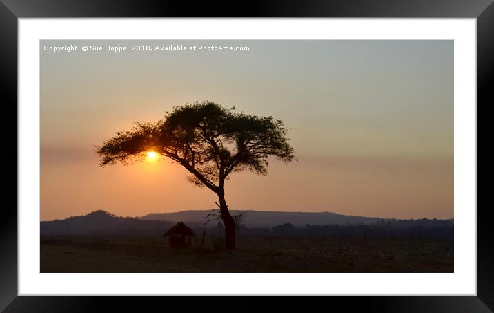 Tree and African hut at sunset Framed Mounted Print by Sue Hoppe