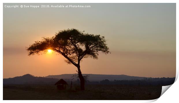 Tree and African hut at sunset Print by Sue Hoppe