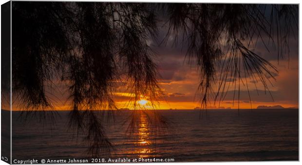 Tropical Sunset #4 Canvas Print by Annette Johnson