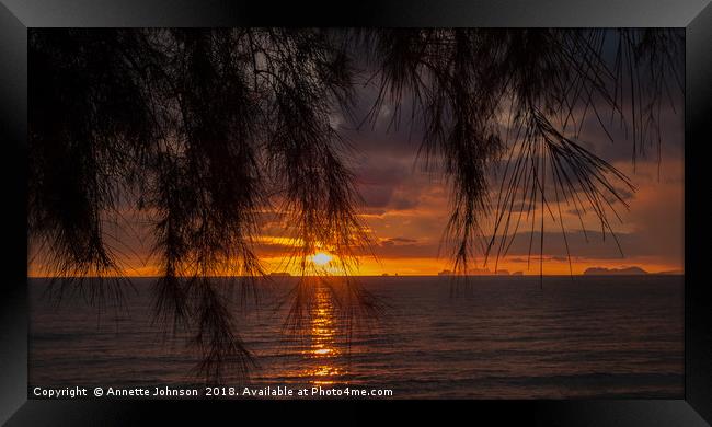 Tropical Sunset #4 Framed Print by Annette Johnson