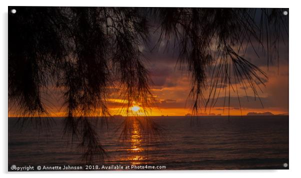 Tropical Sunset #4 Acrylic by Annette Johnson