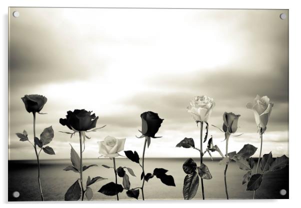 Black roses against sea Acrylic by Larisa Siverina