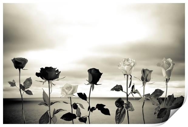 Black roses against sea Print by Larisa Siverina
