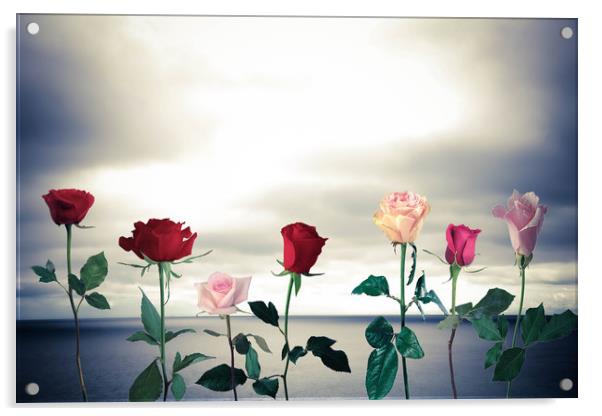 Roses and sea Acrylic by Larisa Siverina