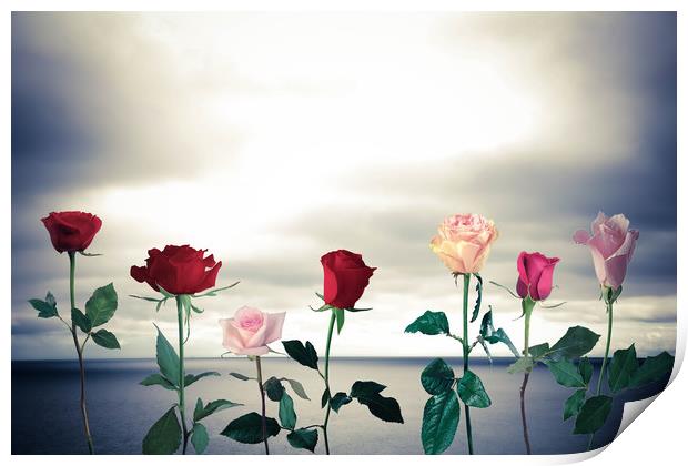 Roses and sea Print by Larisa Siverina