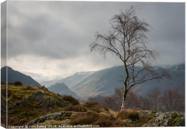 Shepherd's Crag Canvas Print by John Ealing