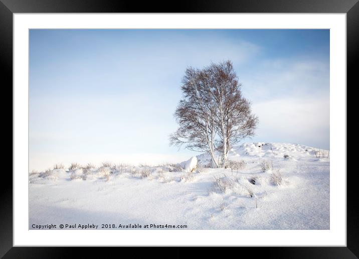 Rannoch Moor Snow Scene  Framed Mounted Print by Paul Appleby