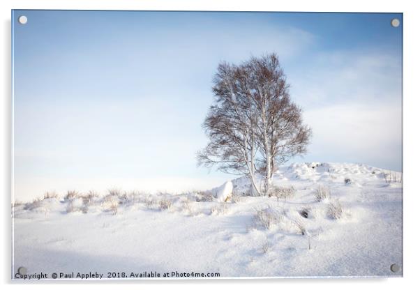 Rannoch Moor Snow Scene  Acrylic by Paul Appleby