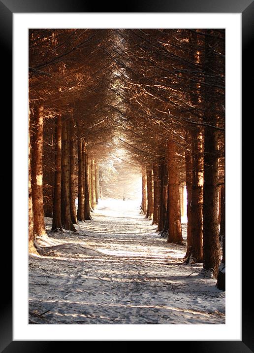 A winters Walk Framed Mounted Print by Ian Coyle