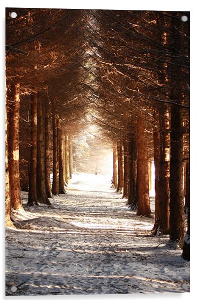 A winters Walk Acrylic by Ian Coyle