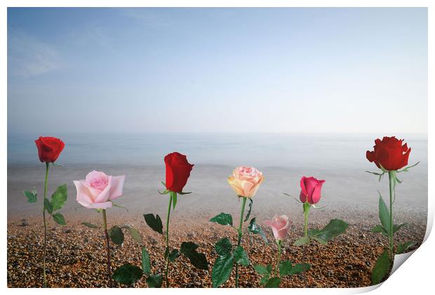 Roses against sea Print by Larisa Siverina