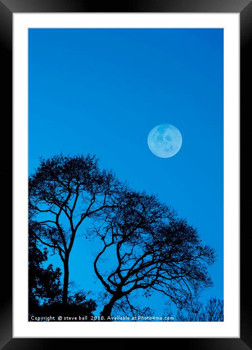 Forest moon Framed Mounted Print by steve ball