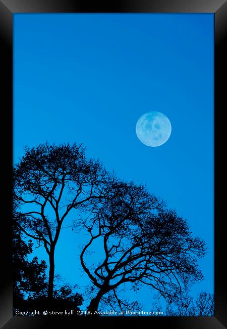 Forest moon Framed Print by steve ball