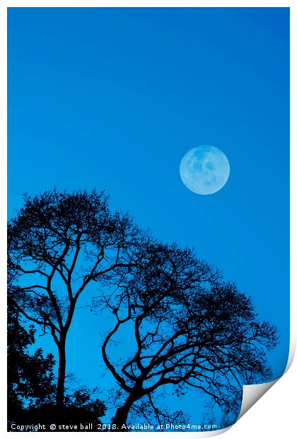 Forest moon Print by steve ball