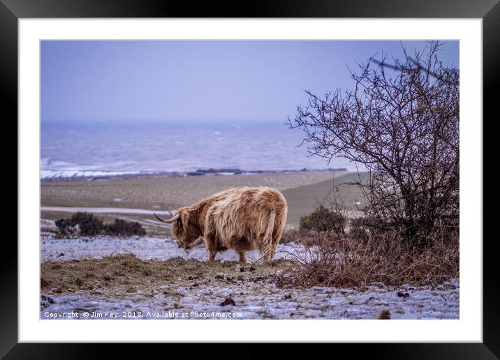 Highland Cow  Snow Framed Mounted Print by Jim Key