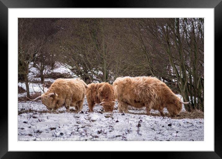 Highland Cows Snow Framed Mounted Print by Jim Key