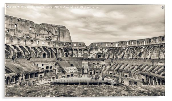 Roman Coliseum Interior View, Rome, Italy Acrylic by Daniel Ferreira-Leite
