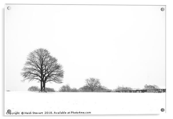 Trees in the Snow Acrylic by Heidi Stewart