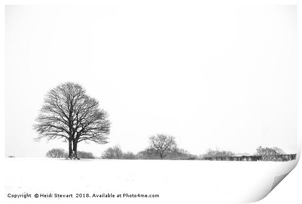 Trees in the Snow Print by Heidi Stewart
