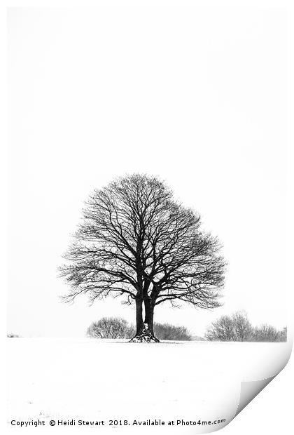 Solitary Tree in the Snow Print by Heidi Stewart