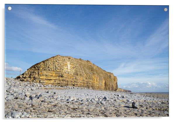 Limestone cliffs at Llantwit Major Acrylic by Heidi Stewart