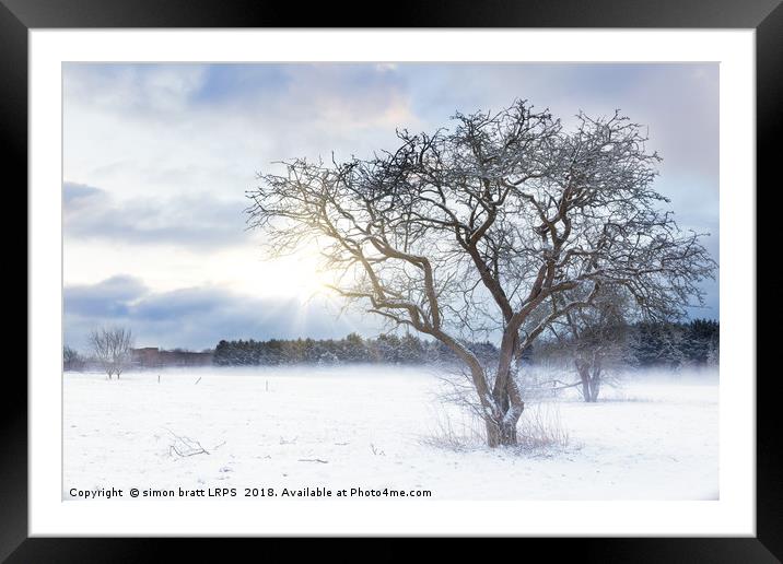 Bare tree in a snow field with sunrise Framed Mounted Print by Simon Bratt LRPS