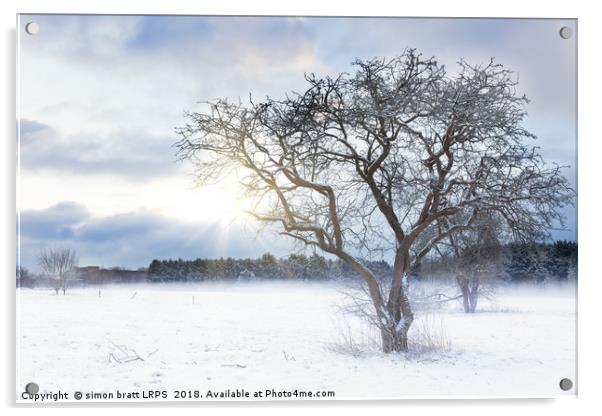 Bare tree in a snow field with sunrise Acrylic by Simon Bratt LRPS