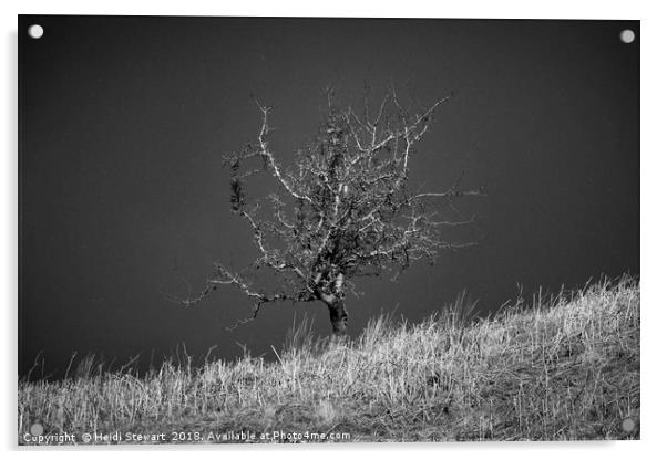 Lone tree with Falling Snow Acrylic by Heidi Stewart