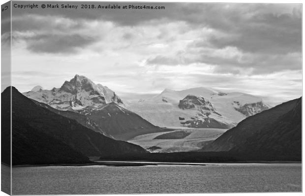 Sailing Beagle Channel Canvas Print by Mark Seleny